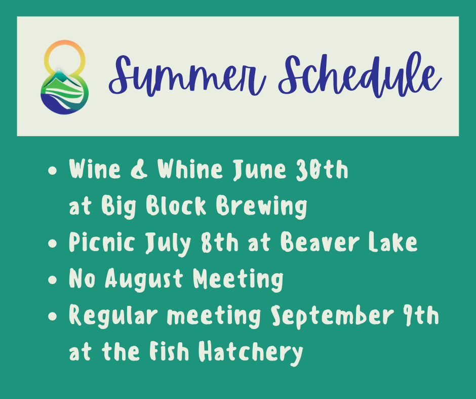 Summer activity schedule