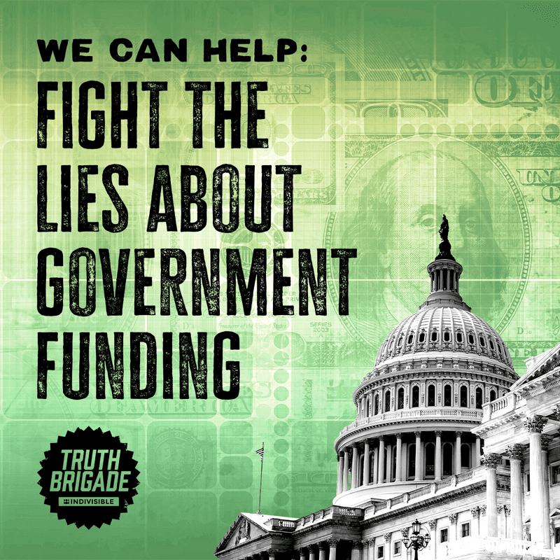 Text - We can help: Fight the lies about government funding. Truth Brigade logo.