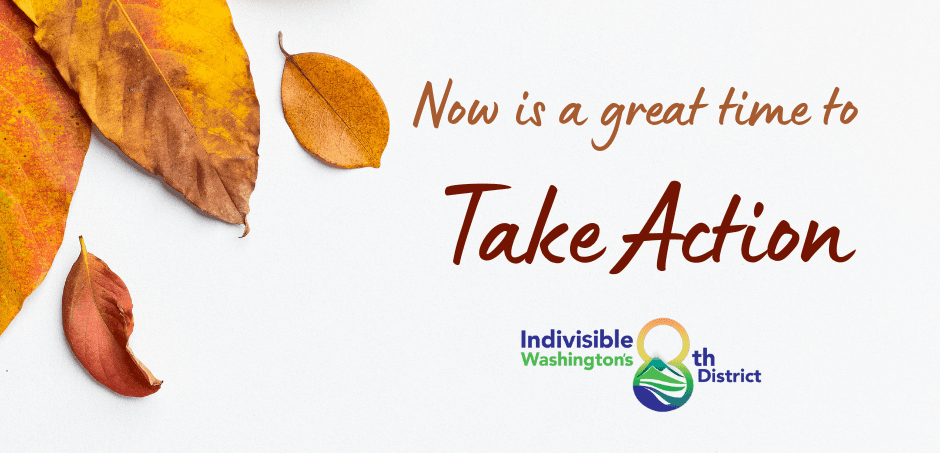 Fall leaves with the text "Now is a great time to take action" and the Indivisible CD-8 logo